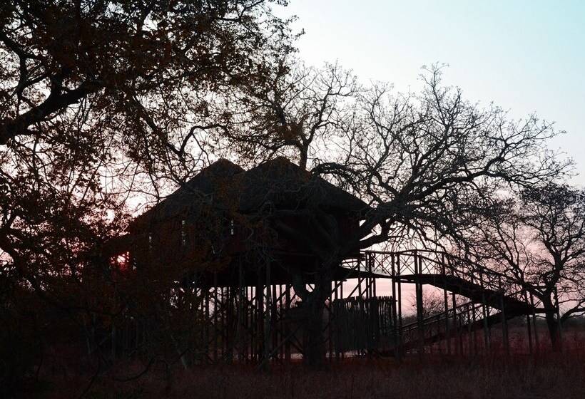 호텔 Pezulu Tree House Lodge