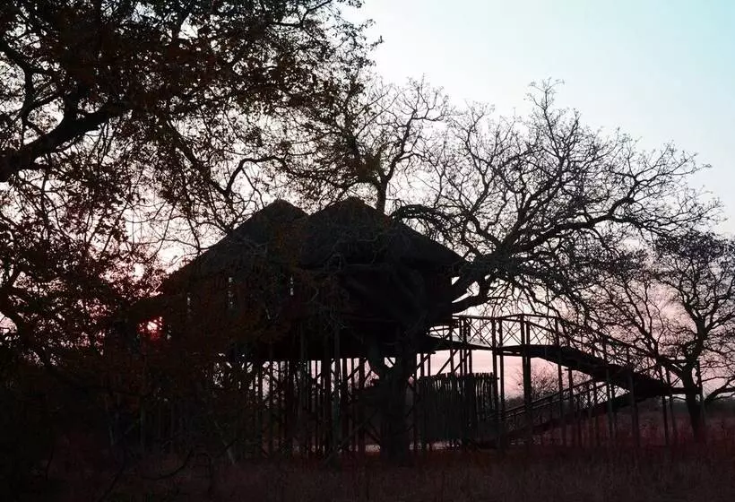ホテル Pezulu Tree House Lodge