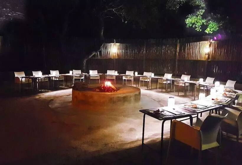 ホテル Pezulu Tree House Lodge