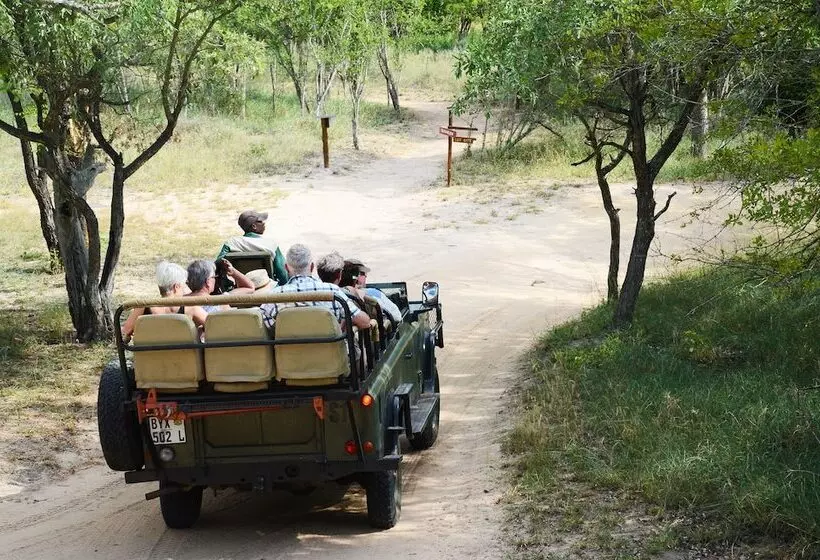 ホテル Pezulu Tree House Lodge