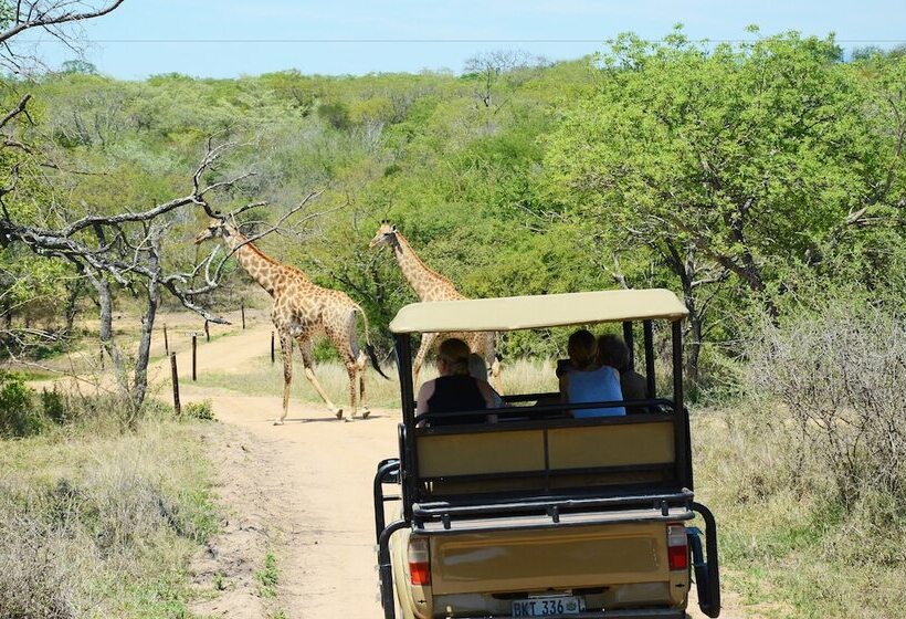 호텔 Pezulu Tree House Lodge