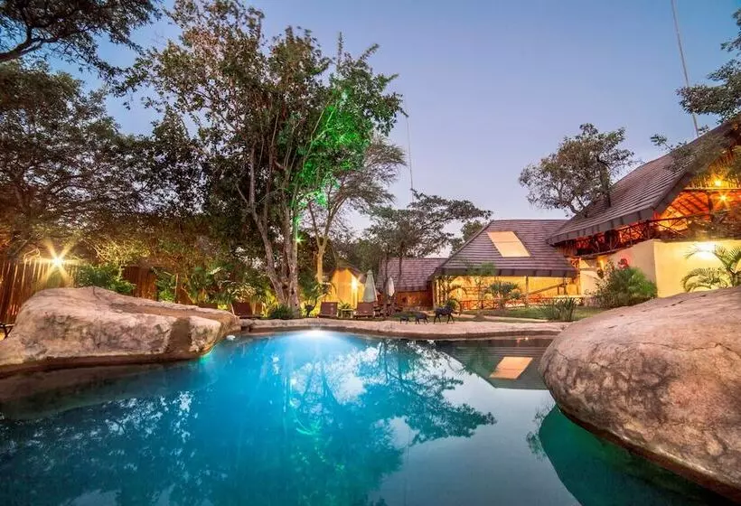 ホテル Pezulu Tree House Lodge