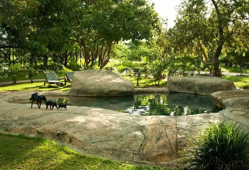 ホテル Pezulu Tree House Lodge
