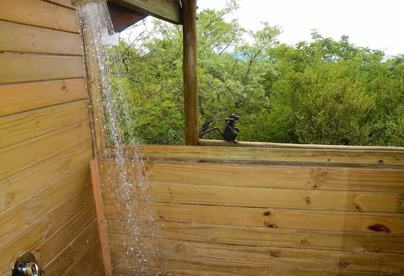 ホテル Pezulu Tree House Lodge