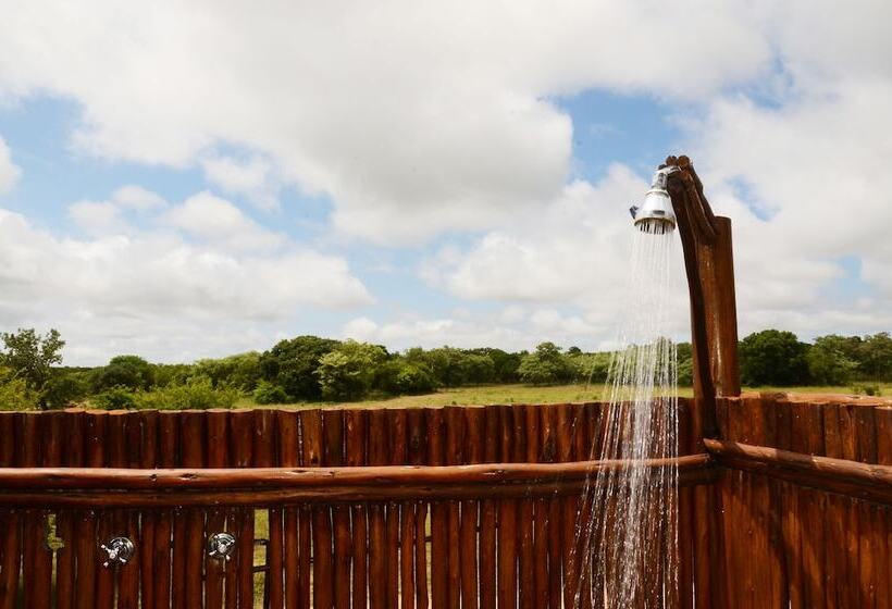 호텔 Pezulu Tree House Lodge