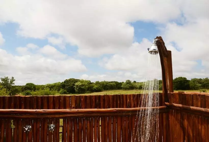 ホテル Pezulu Tree House Lodge