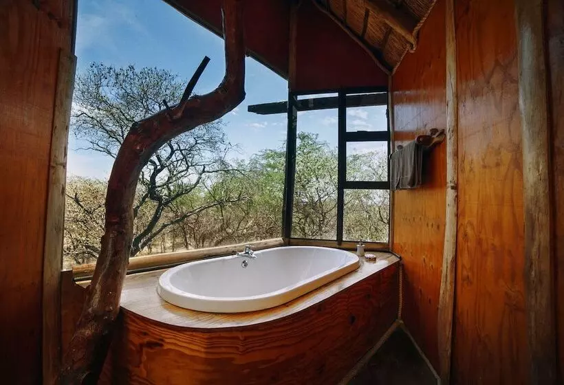 ホテル Pezulu Tree House Lodge