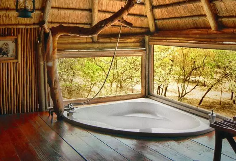 ホテル Pezulu Tree House Lodge