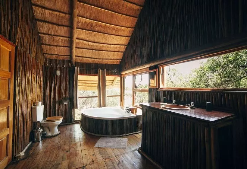 ホテル Pezulu Tree House Lodge