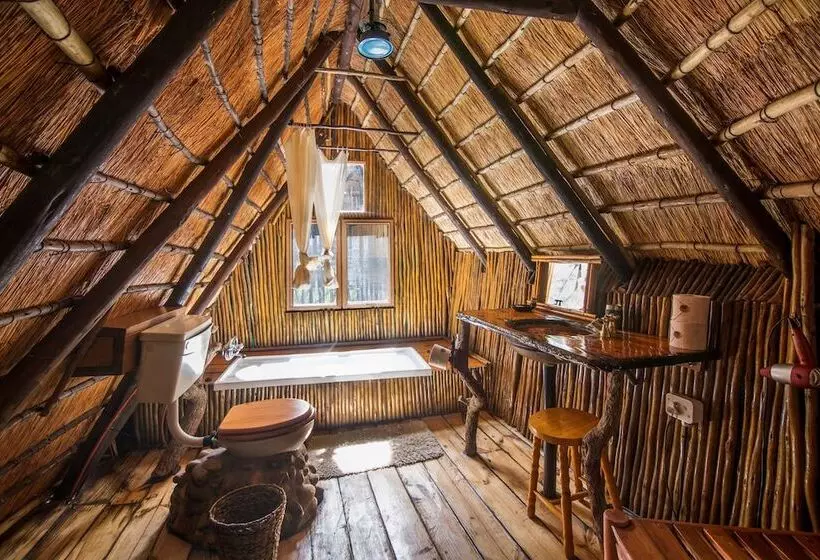 ホテル Pezulu Tree House Lodge