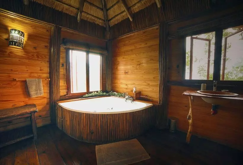 ホテル Pezulu Tree House Lodge