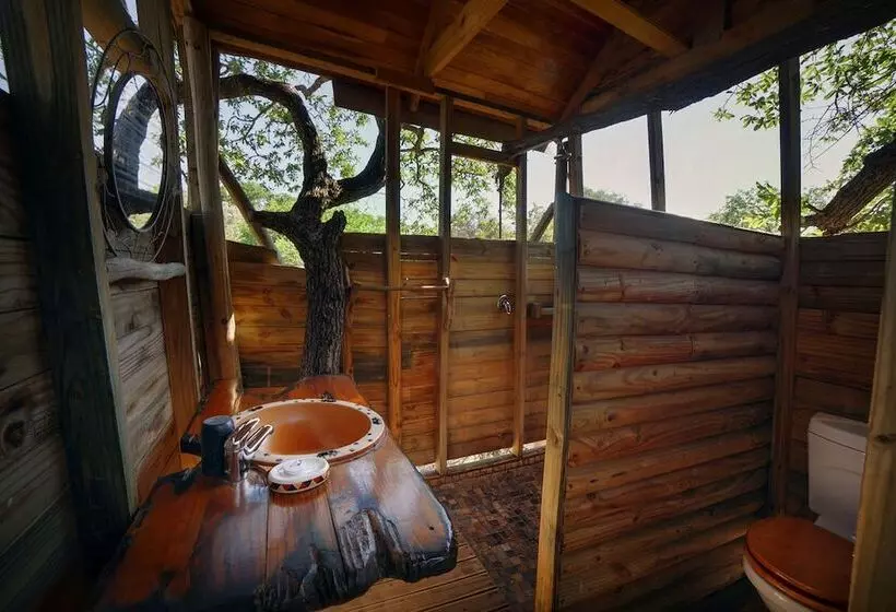 ホテル Pezulu Tree House Lodge