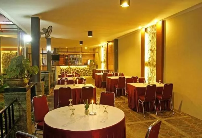 Motel The Winner Premier