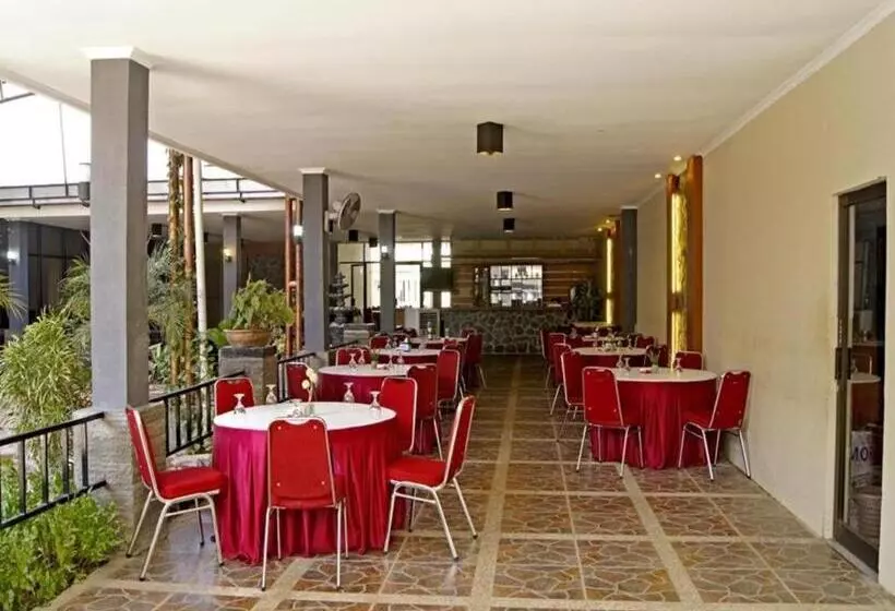 Motel The Winner Premier