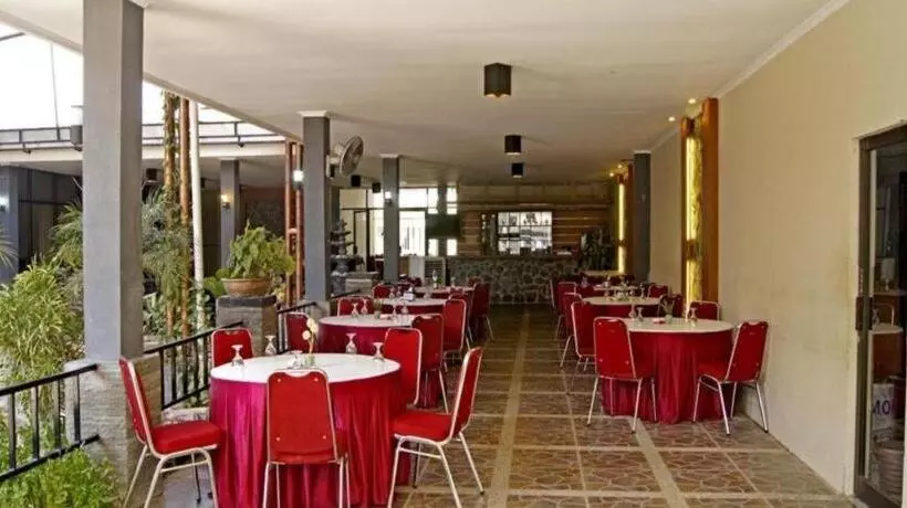 Motel The Winner Premier