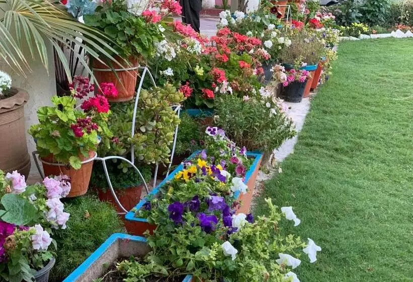پانسیون Alaf Laila Guest House