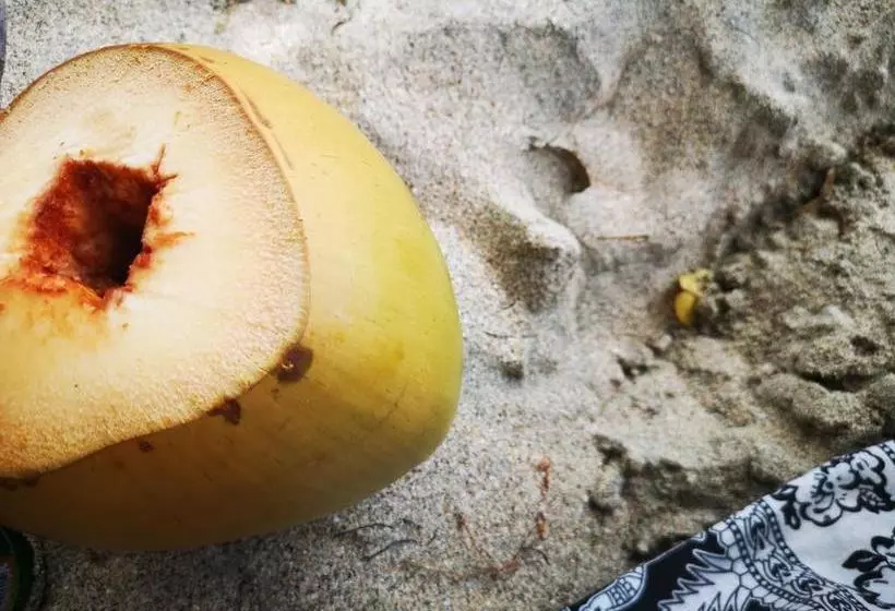 استراحتگاه Tenuta Chatham Bay