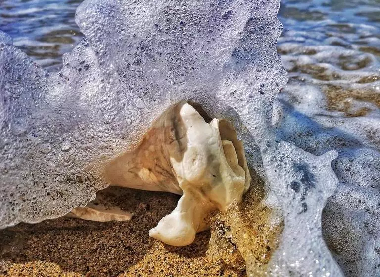 استراحتگاه Tenuta Chatham Bay