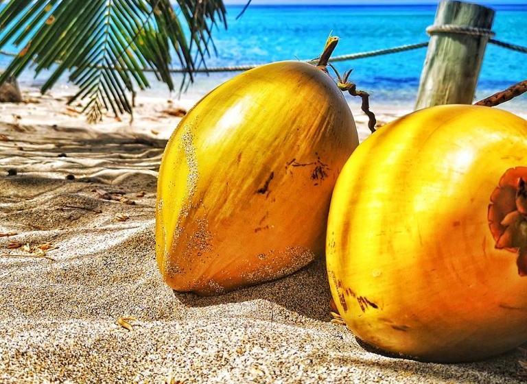 אתר נופש Tenuta Chatham Bay