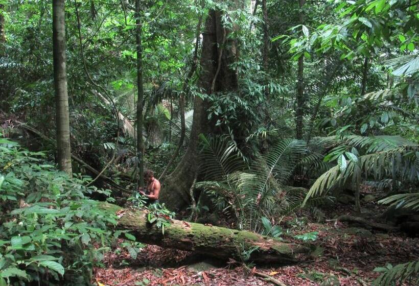 The Barat Tioman Beach Resort