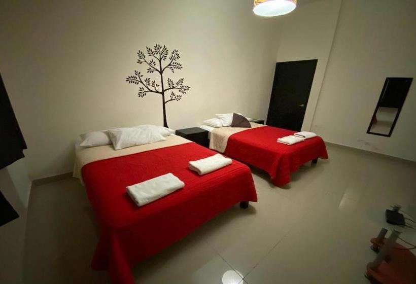 هاستل Home Express