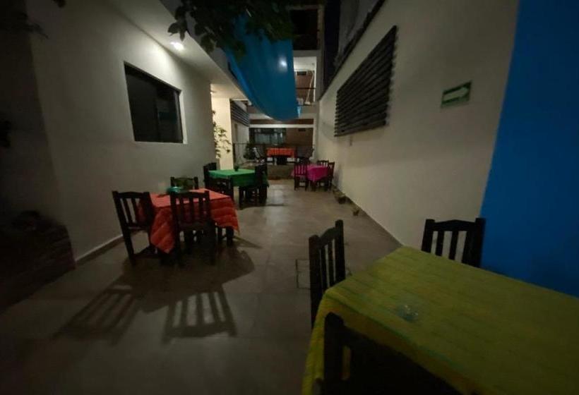 هاستل Home Express