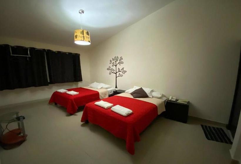 هاستل Home Express