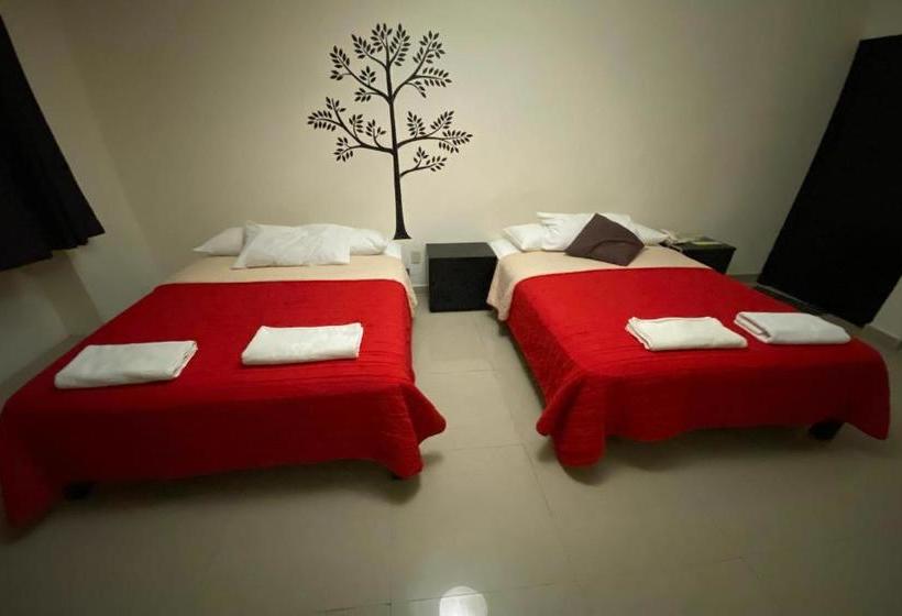 هاستل Home Express