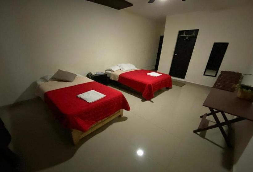 هاستل Home Express