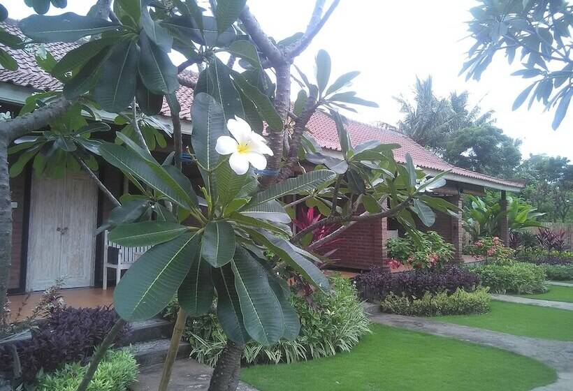 تختخواب و صبحانه Krisna Homestay