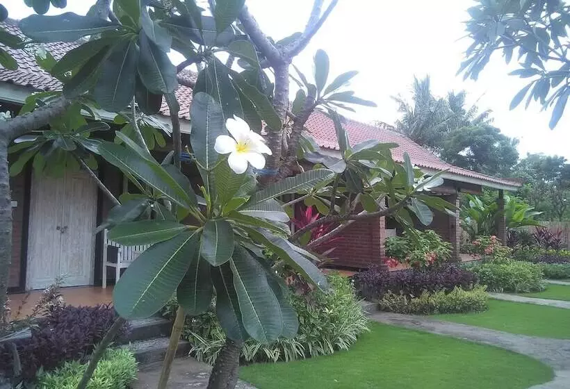 ベッドアンドブレックファースト Krisna Homestay