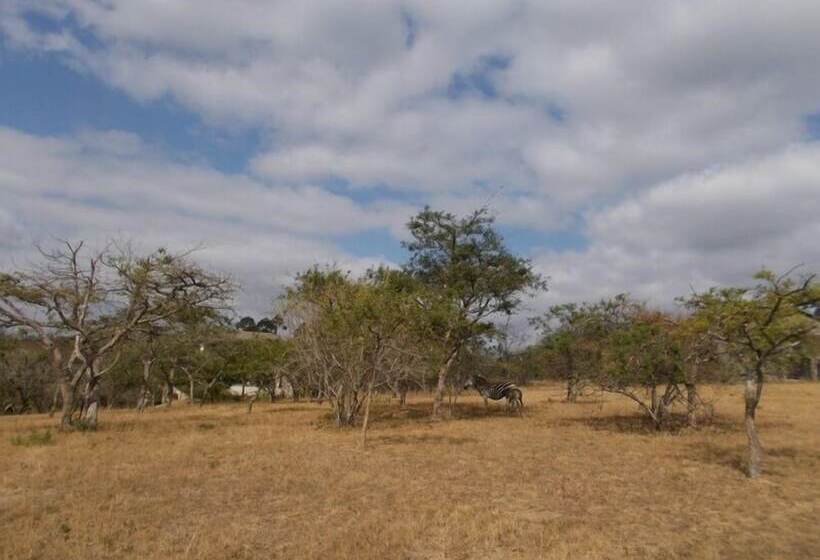 Hotel The Rest Zebra Lodge