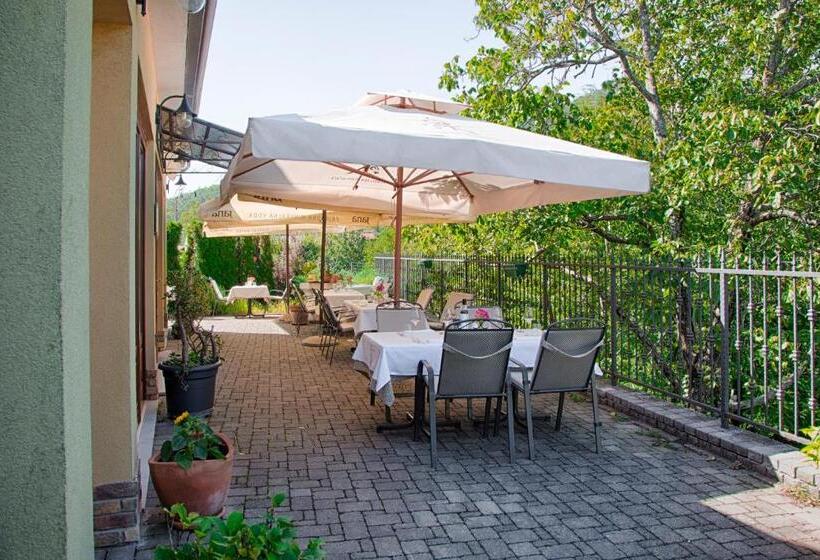 펜션 Guest House Stancija Kovacici