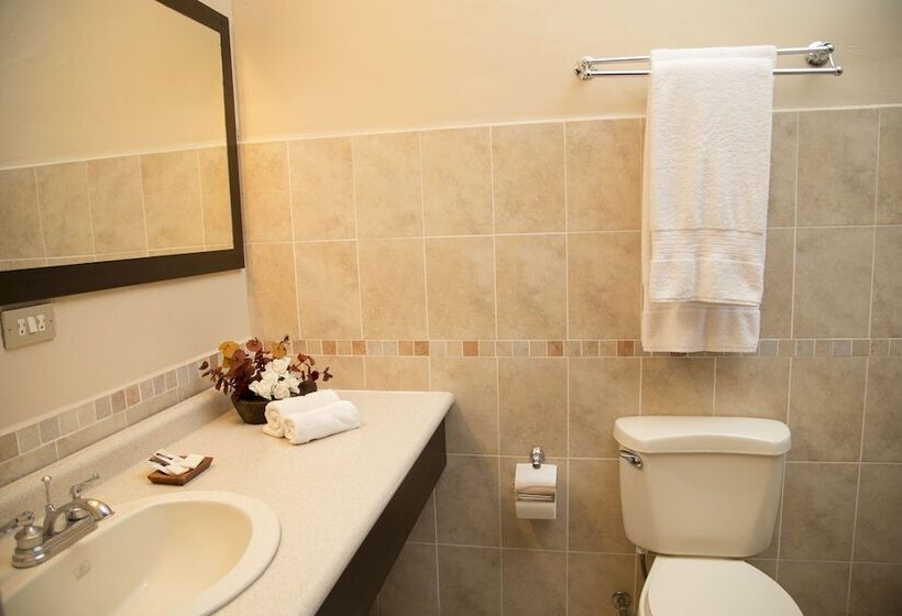 تختخواب و صبحانه Casa Nola