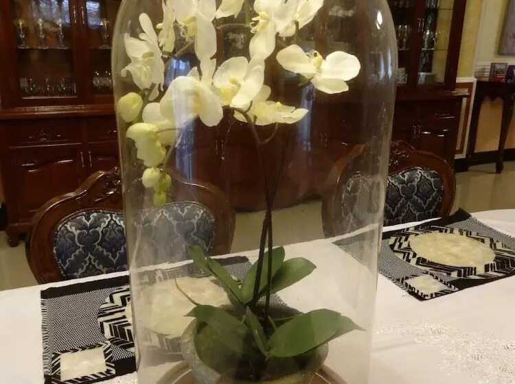 ベッドアンドブレックファースト The Executive Villa Inn & Suites