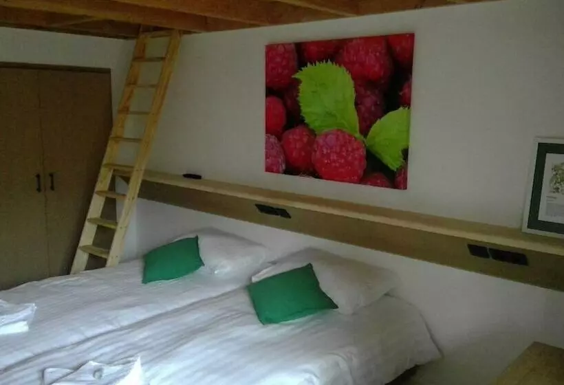 De Steenakker  Hostel