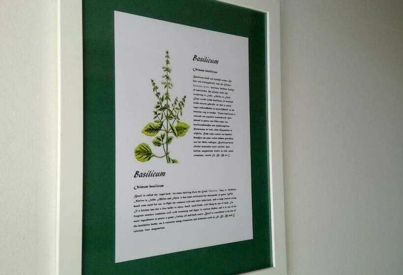 De Steenakker  Hostel