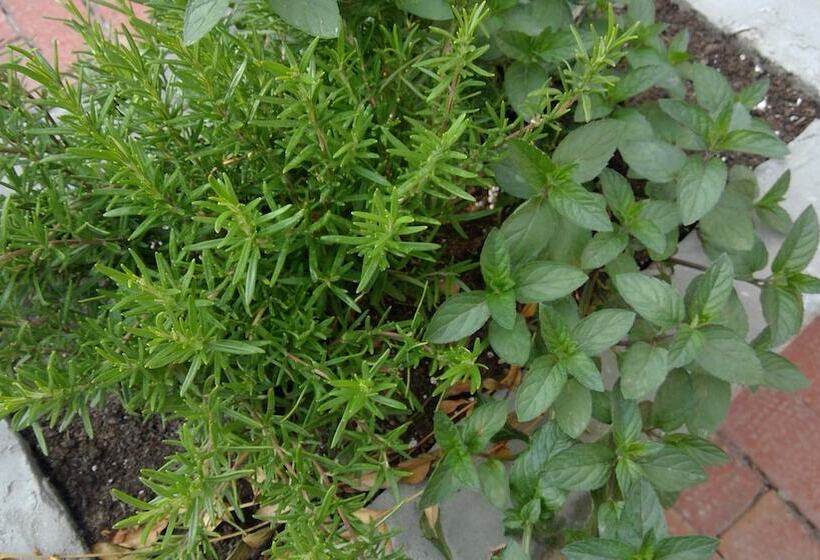 De Steenakker  Hostel