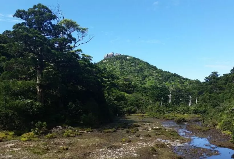 Hotelli Minnsyuku Yakushimaya