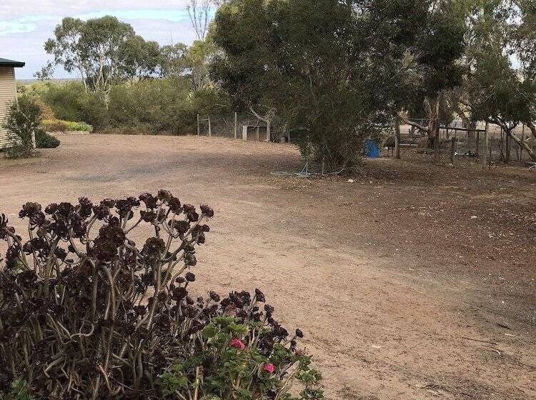 Padthaway Caravan Park