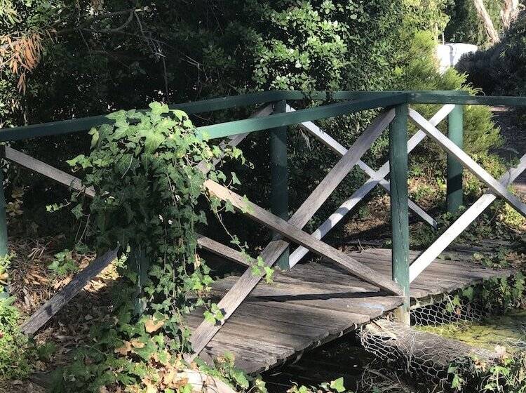 Padthaway Caravan Park