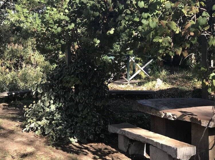 Padthaway Caravan Park