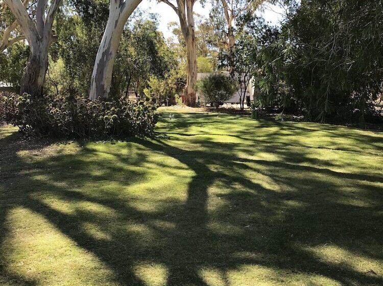 Padthaway Caravan Park