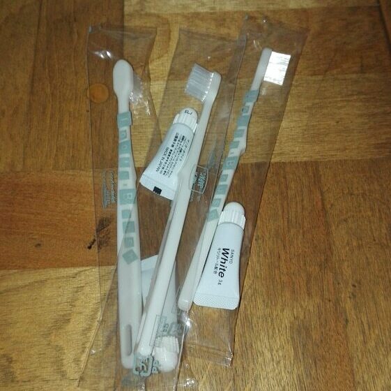 پانسیون Yagisakien