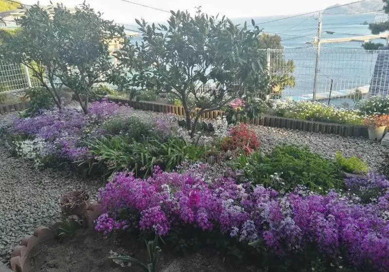 ユースホステル Atami Onsen Guest House Megumi 5 Minutes Walk From Atami Station