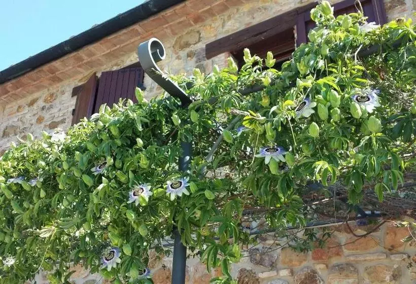 田舎風ホテル Agriturismo Podere San Lorenzo 1866