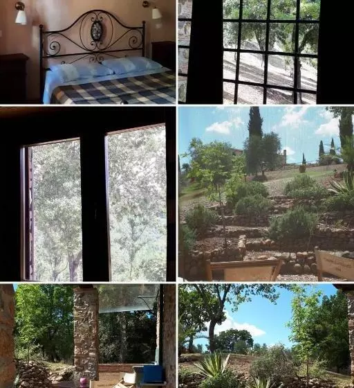 田舎風ホテル Agriturismo Podere San Lorenzo 1866