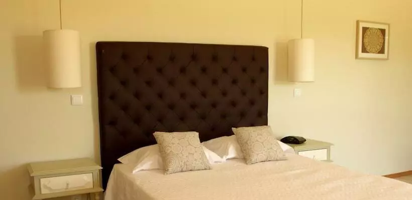 Maaseutuhotelli Quinta Ponte Da Capinha