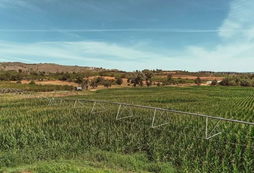 Maaseutuhotelli Quinta Ponte Da Capinha