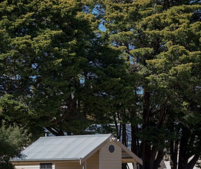 Paxton Square Cottages
